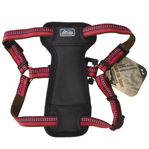 Coastal K9 Explorer 1 Inch Padded Harness Berry Red (20-30 Inch) - Pet Supplies - Coastal