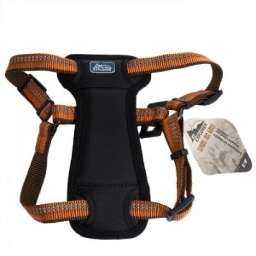 Coastal K9 Explorer 1 Inch Padded Harness Camp Fire Orange (26-38 Inch) - Pet Supplies - Coastal