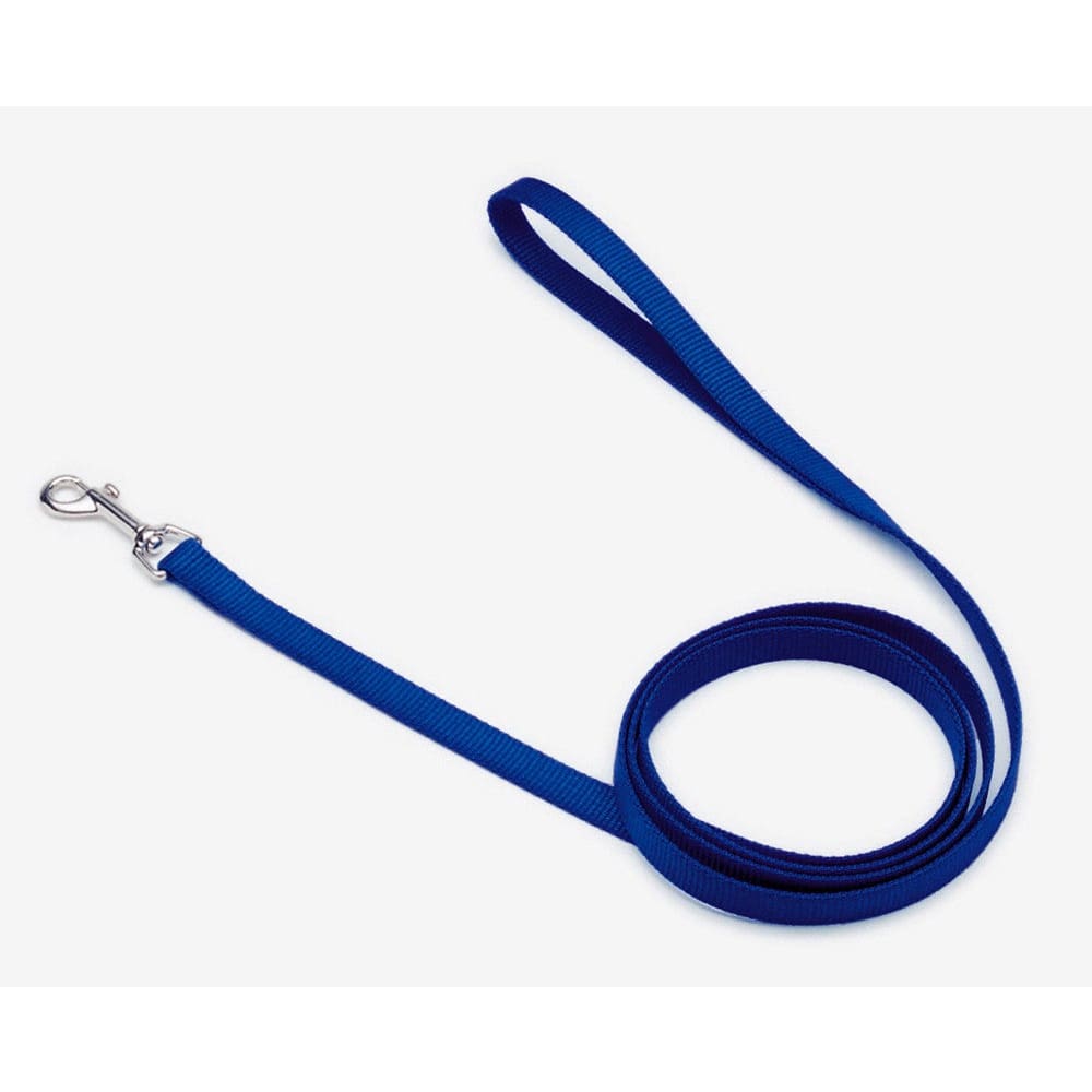 Coastal Single-Ply Nylon Dog Leash Blue 5/8 in x 4 ft - Pet Supplies - Coastal