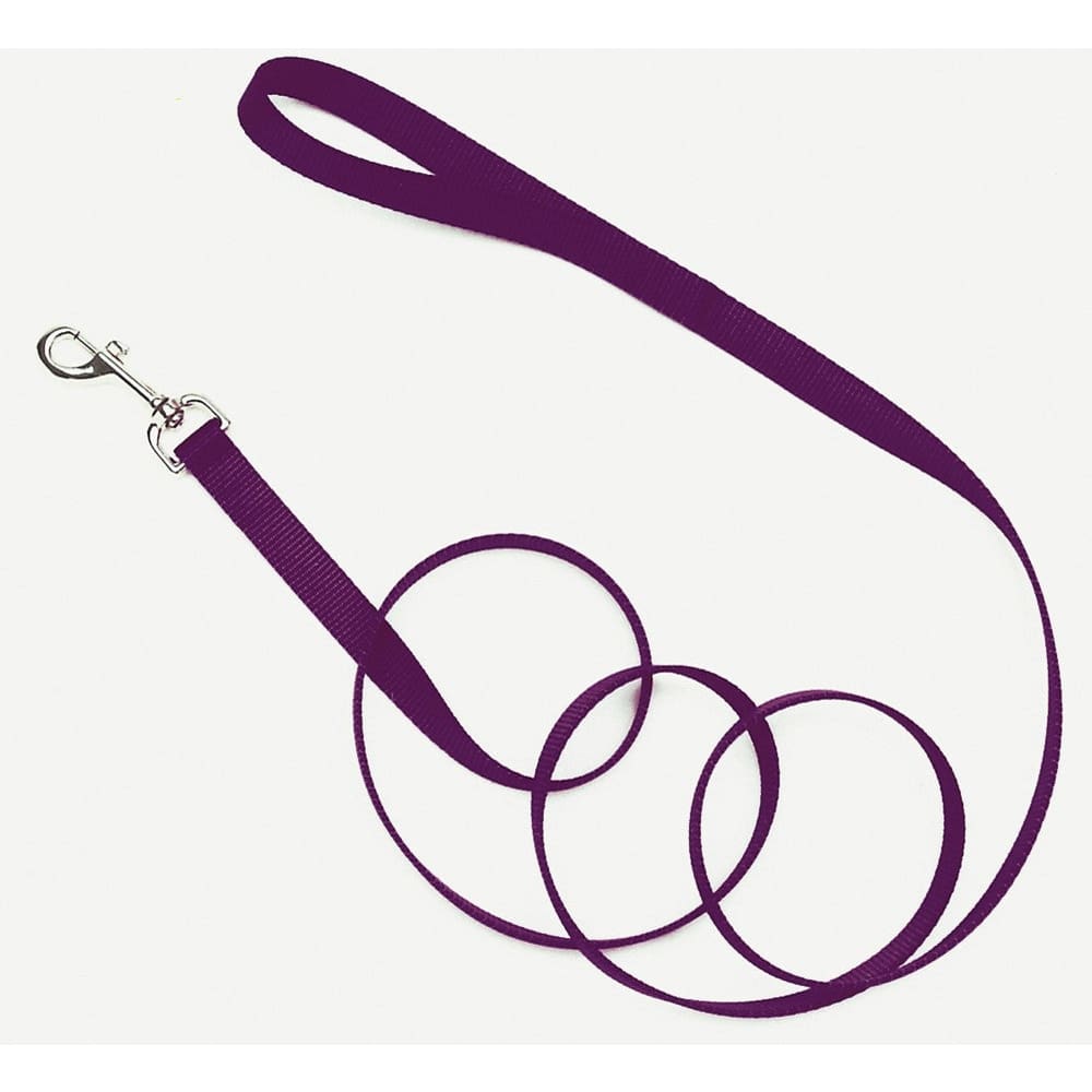 Coastal Single-Ply Nylon Dog Leash Purple 3/4 in x 6 ft - Pet Supplies - Coastal