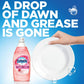 Dawn Ultra Gentle Clean Pomegranate Splash 24 Oz Bottle - Janitorial & Sanitation - Dawn®