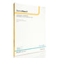 Dermarite Dermaview Film Ii 8 X 12 Box of 10 - Item Detail - Dermarite