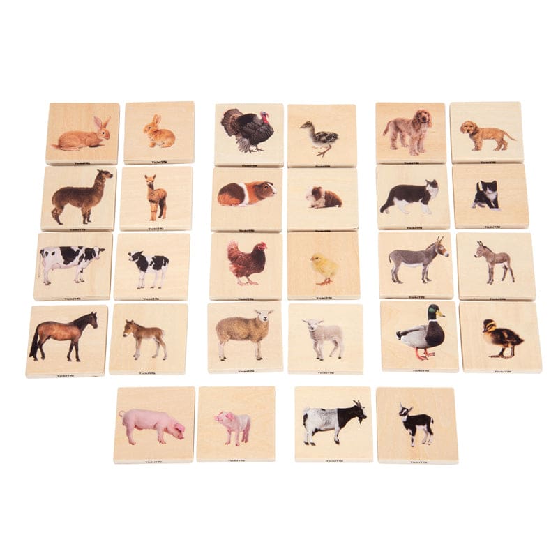 Domestic Animal Family Match - Patterning - Learning Advantage