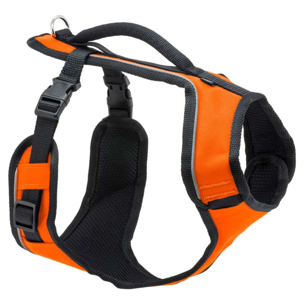 EasySport Comfortable Dog Harness Orange Small - Pet Supplies - EasySport