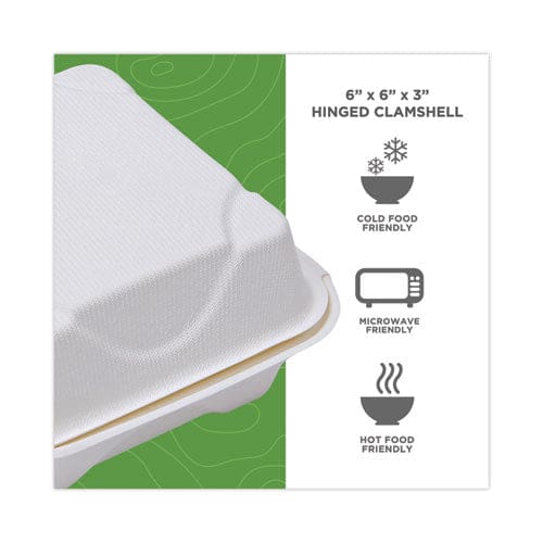 Eco-Products Renewable And Compostable Sugarcane Clamshells 6 X 6 X 3 White 50/pack 10 Packs/carton - Food Service - Eco-Products®