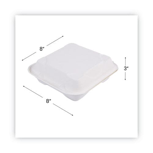 Eco-Products Renewable And Compostable Sugarcane Clamshells 9 X 9 X 3 White 50/pack 4 Packs/carton - Food Service - Eco-Products®