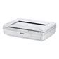 Epson Workforce Ds-50000 Scanner Scans Up To 11.7 X 17 600 Dpi Optical Resolution - Technology - Epson®