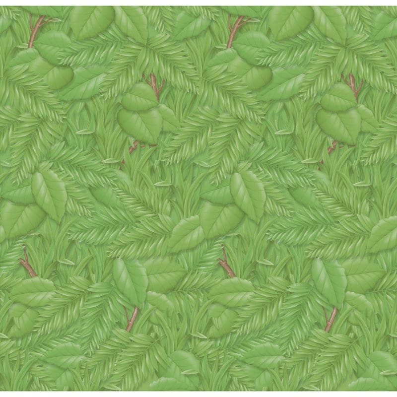 Fadeless 48X50 Rl Tropical Foliage - Bulletin Board & Kraft Rolls - Dixon Ticonderoga Co - Pacon