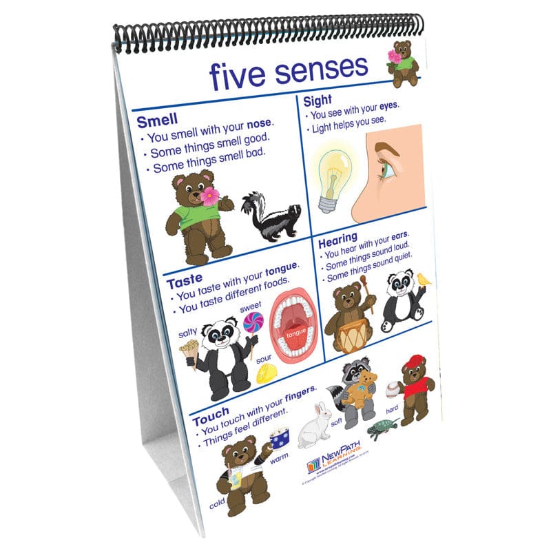 Flip Charts All About Me Early Childhood Science Readiness - Human Anatomy - Newpath Learning
