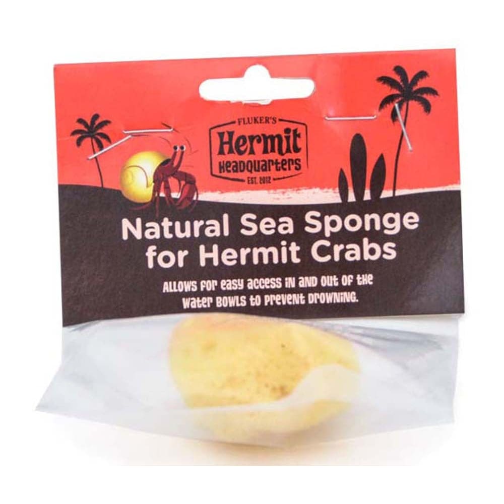 Fluker’s Hermit Crab Natural Sea Sponge Yellow - Pet Supplies - Fluker’s