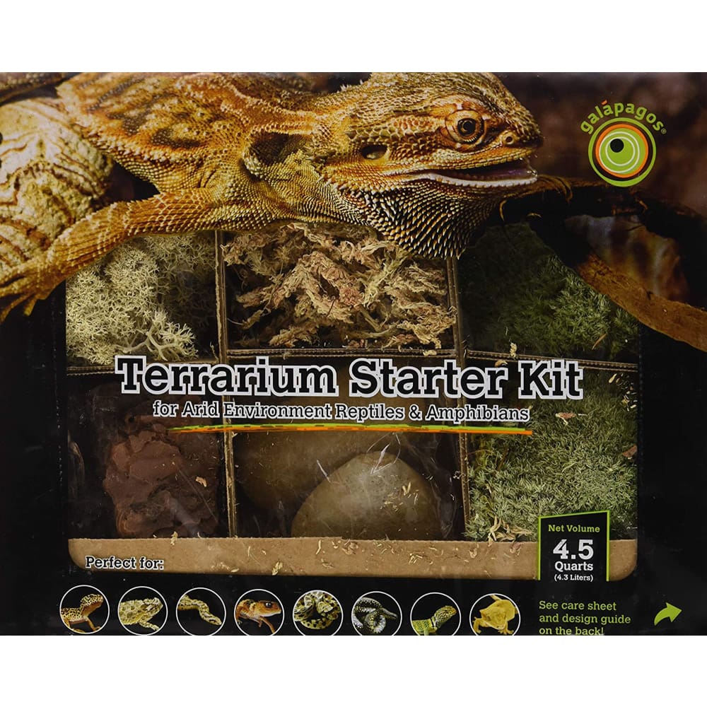 Galapagos Arid Environment Terrarium Starter Kit - Pet Supplies - Galapagos