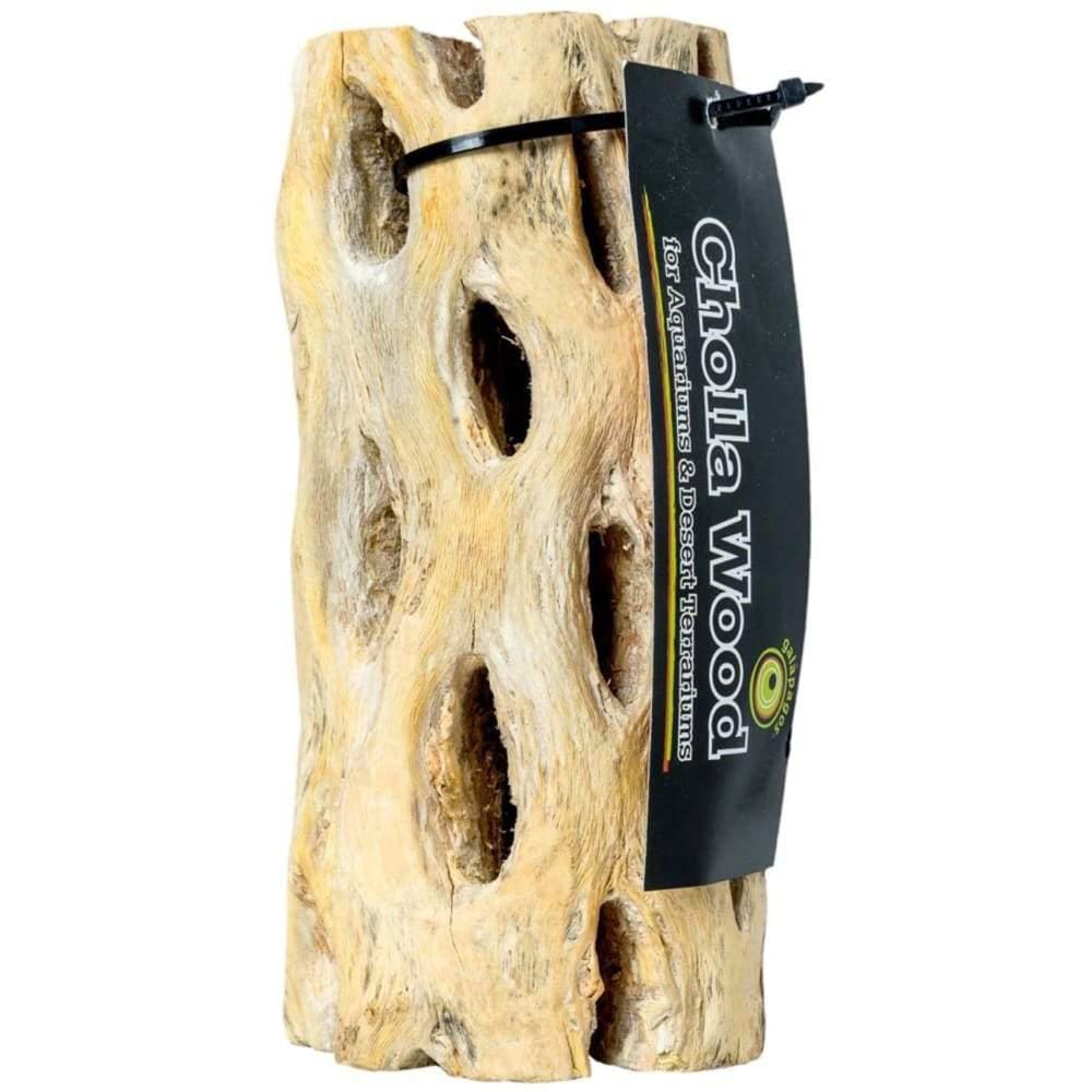 Galapagos Cactus Skeleton Cholla Wood Brown 36 in - Pet Supplies - Galapagos