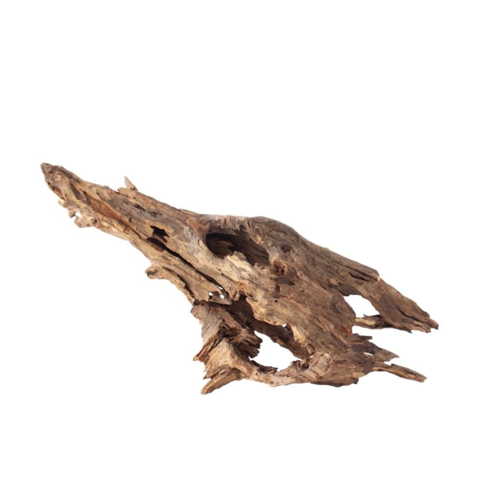 Galapagos Natural Driftwood Hollow Tree Root 1ea-12-16 in - Pet Supplies - Galapagos