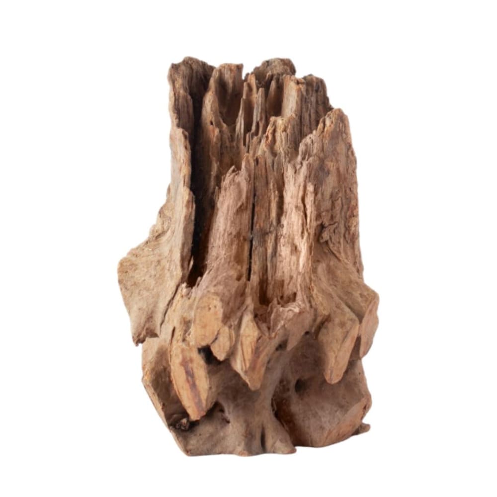 Galapagos Natural Eucalyptus Hollow Log Hide 1ea-6-8 in - Pet Supplies - Galapagos