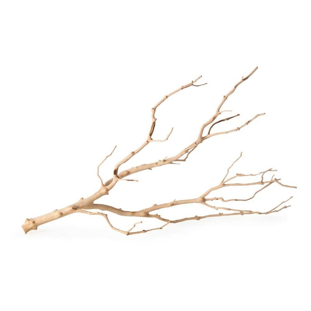 Galapagos Staghorn Wood Manzanita Branch Brown 19 in - 24 in - Pet Supplies - Galapagos