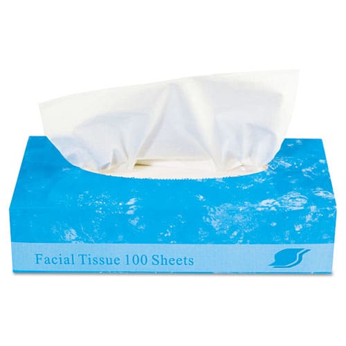 GEN Boxed Facial Tissue 2-ply White 100 Sheets/box 30 Boxes/carton - Janitorial & Sanitation - GEN