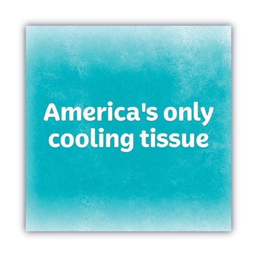 Kleenex Cool Touch Facial Tissue 2-ply White 45 Sheets/box 27 Boxes/carton - Janitorial & Sanitation - Kleenex®