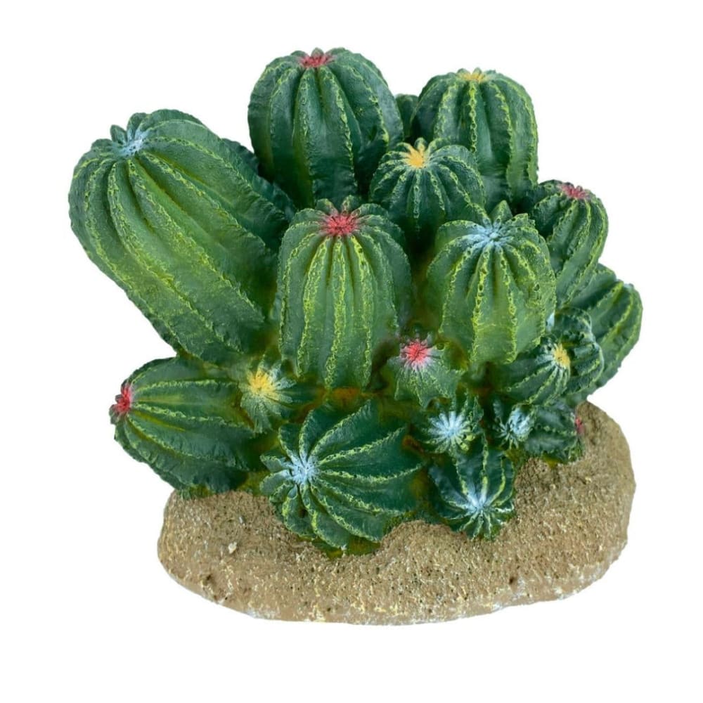 Komodo Cactus Plant Barrel 1ea-4 in - Pet Supplies - Komodo