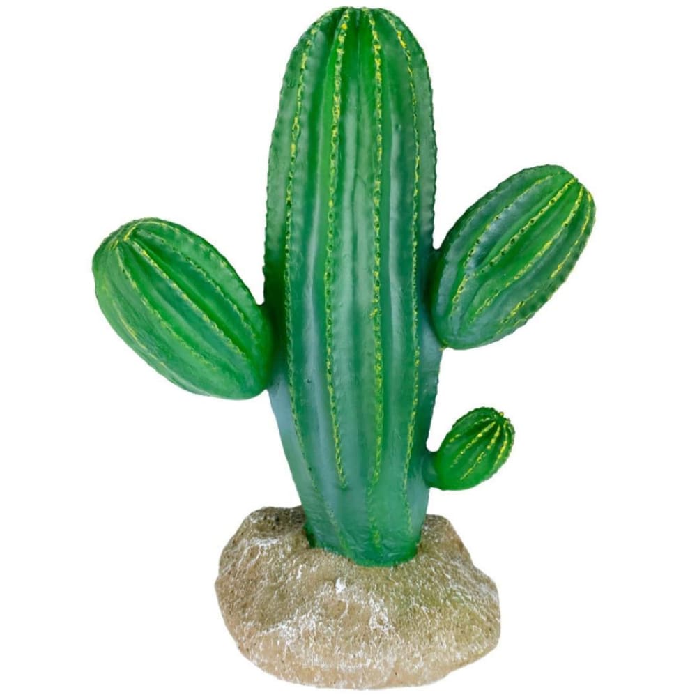 Komodo Cactus Plant Saguaro 1ea-9.5 in - Pet Supplies - Komodo