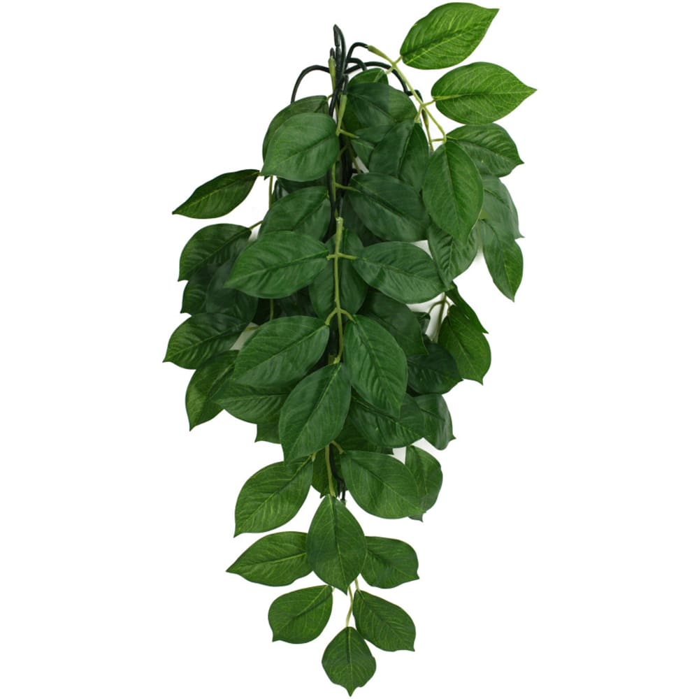 Komodo Green Leaf Hanging Plant 1ea-SM; 16 in - Pet Supplies - Komodo