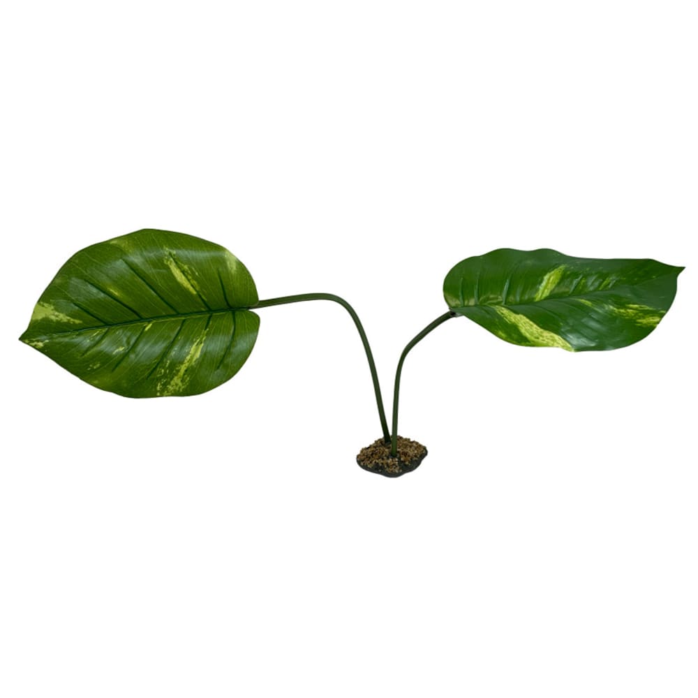 Komodo Guiana Plant 1ea-Jumbo - Pet Supplies - Komodo