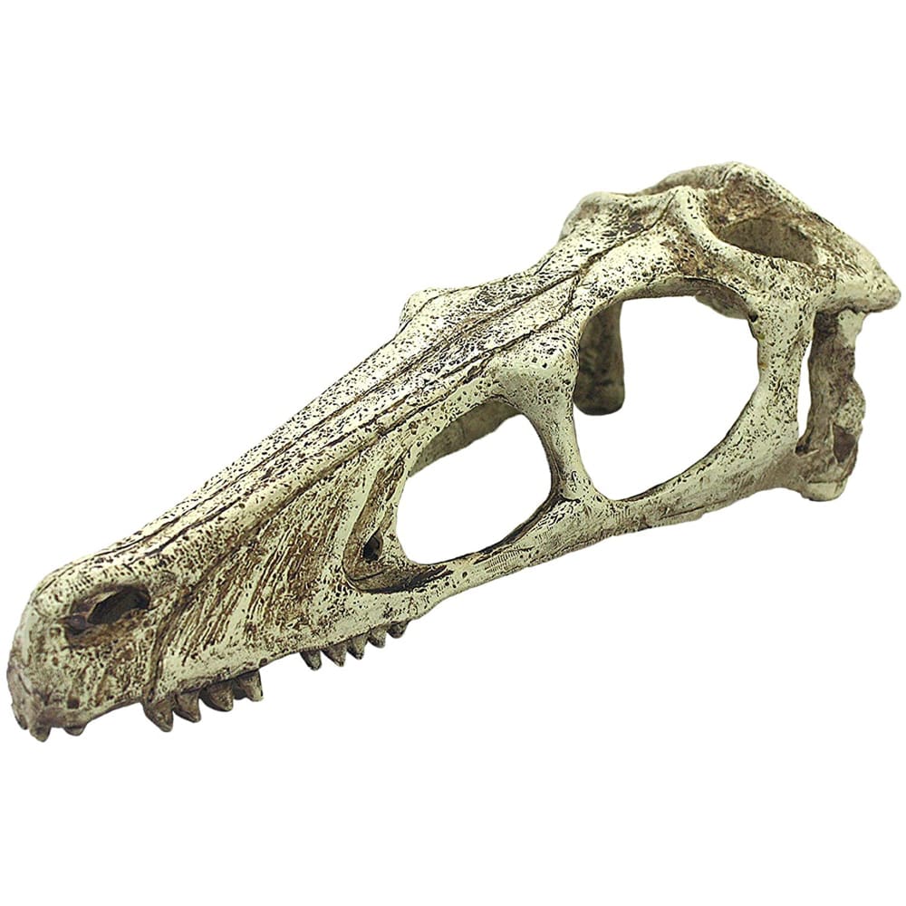 Komodo Raptor Skull Reptile Hideout Tan Extra-Large - Pet Supplies - Komodo