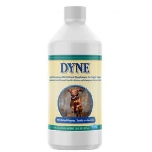 Lambert Kay Dyne High Calorie Liquid Nutritional Supplement for Dogs and Puppies 16 fl. oz - Pet Supplies - Lambert Kay