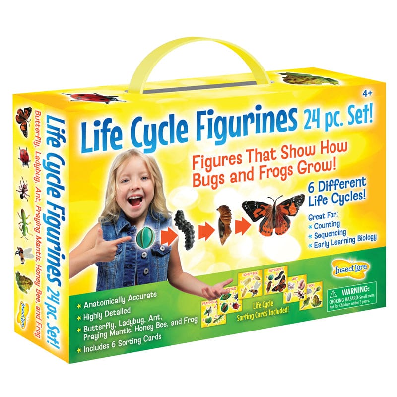 life-cycle-figurines-24pc-set-shelhealth