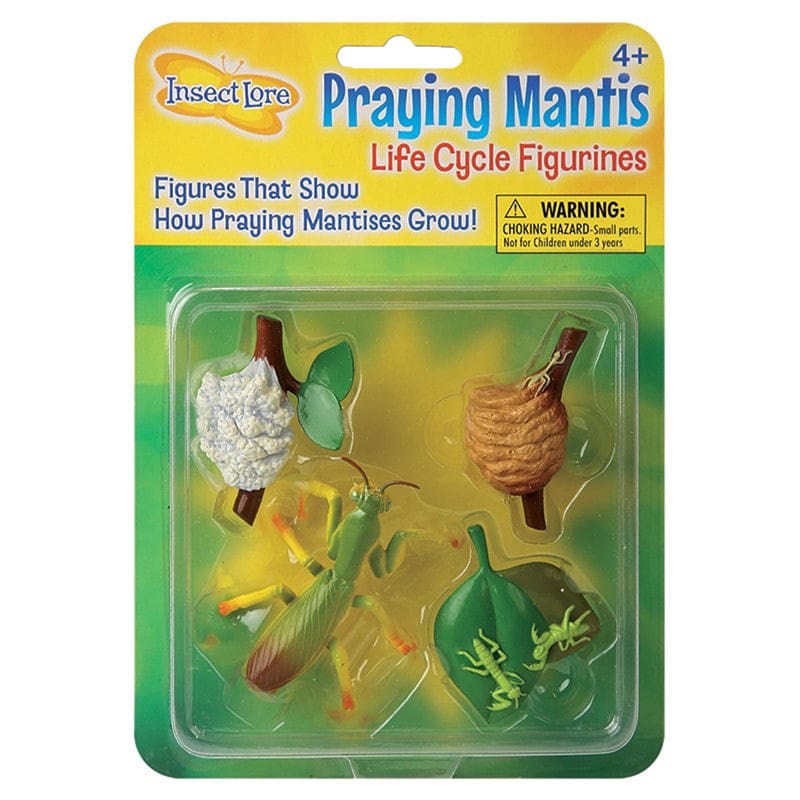 Mantis Life Cycle Stages (Pack of 6) - Animal Studies - Insect Lore