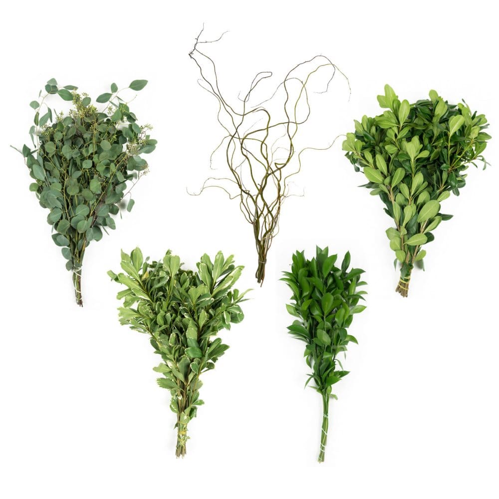 Member’s Mark California Greens Sampler (10 Bunches) - Fillers & Greenery - Member’s Mark