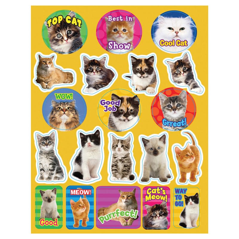 Motivational Cats Theme Stickers (Pack of 12) - Stickers - Eureka