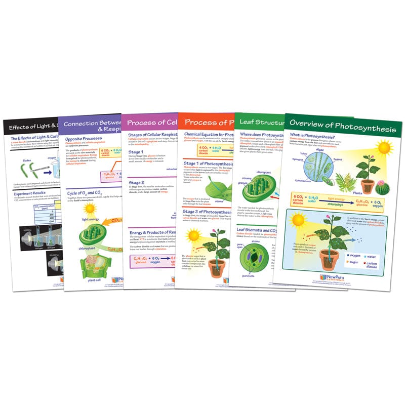 Photosysthesis Bulletin Board Chart Set Grades 3-5 - Science - Newpath Learning