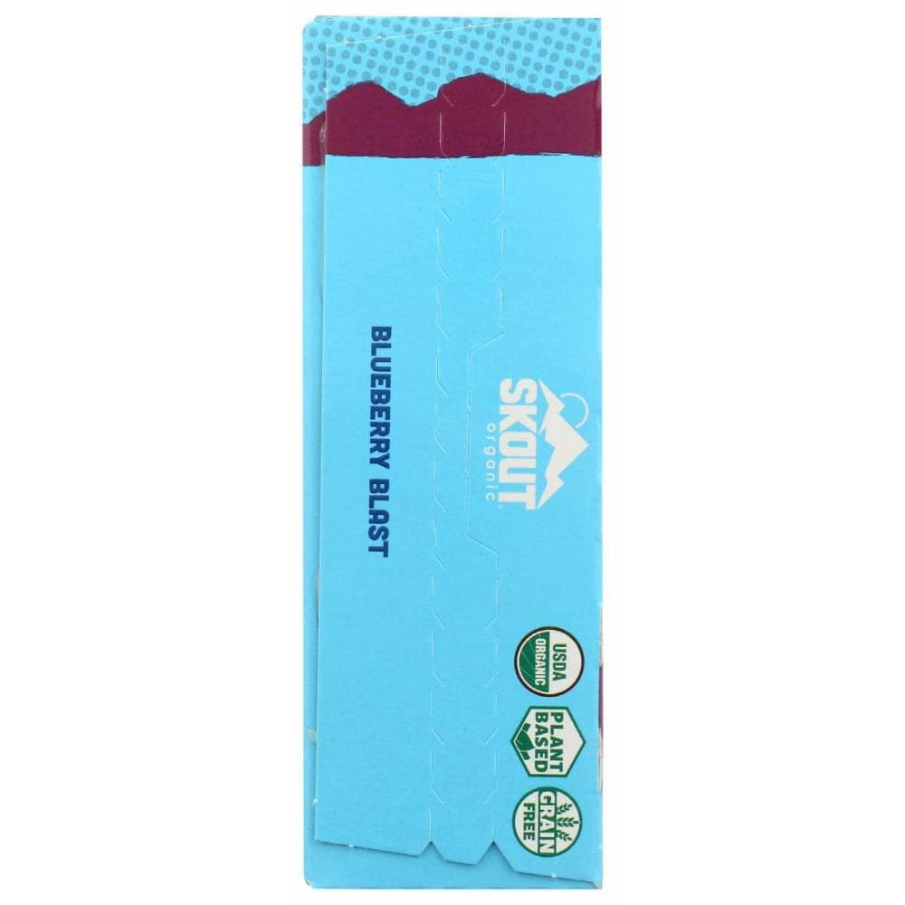 SKOUT Grocery > Snacks SKOUT: Blueberry Blast Kids Bar, 5.1 oz