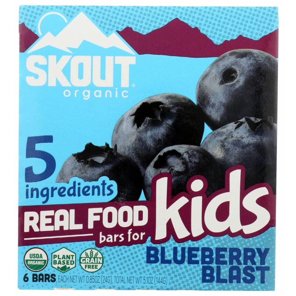 SKOUT Grocery > Snacks SKOUT: Blueberry Blast Kids Bar, 5.1 oz